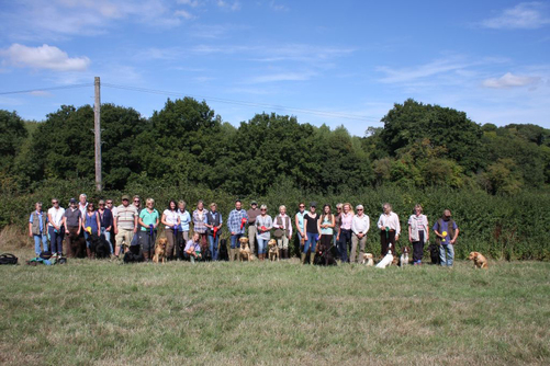 Gun dog training, competitive, Wisborough Green, west Sussex 2013